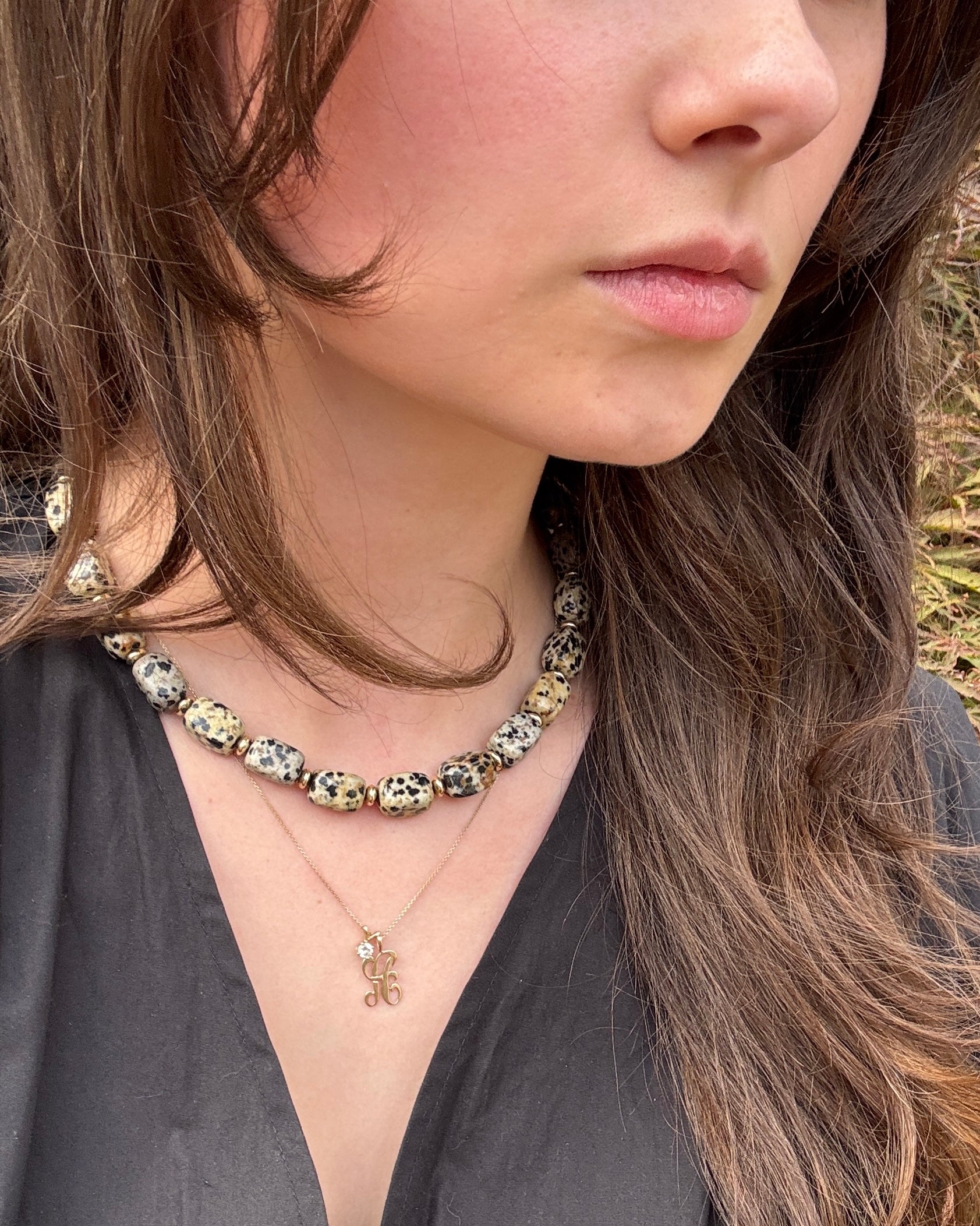 Dalmatian Jasper Choker